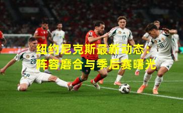 纽约尼克斯最新动态：阵容磨合与季后赛曙光