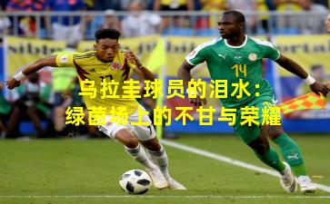 乌拉圭球员的泪水:绿茵场上的不甘与荣耀