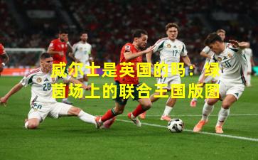 威尔士是英国的吗:绿茵场上的联合王国版图