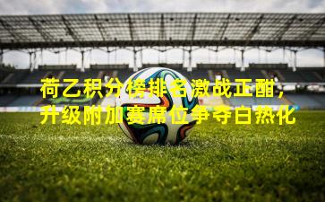 荷乙积分榜排名激战正酣,升级附加赛席位争夺白热化