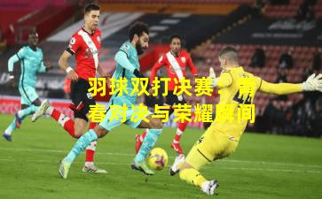 羽球双打决赛:青春对决与荣耀瞬间